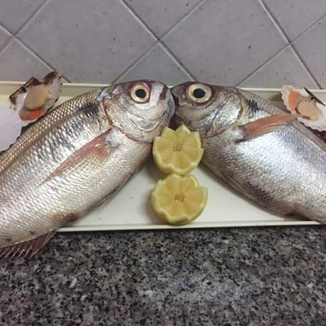 Pesce