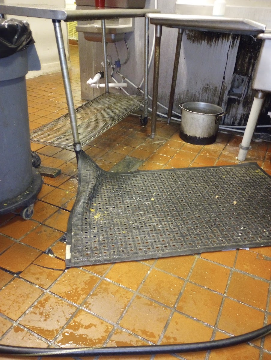 Finn Oliver's Family Restaurant - Photo 8