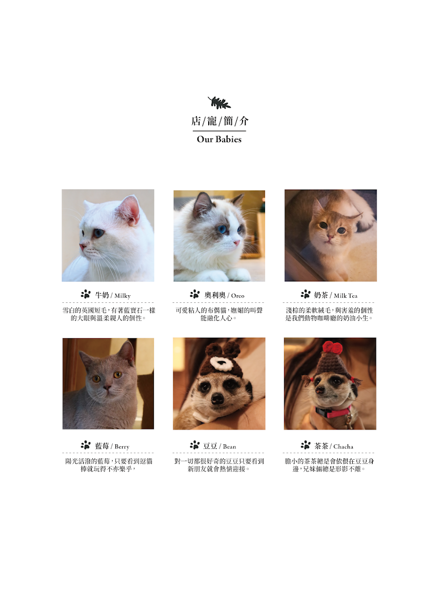 OH MY ZOO 寵物咖啡廳 - Photo 9
