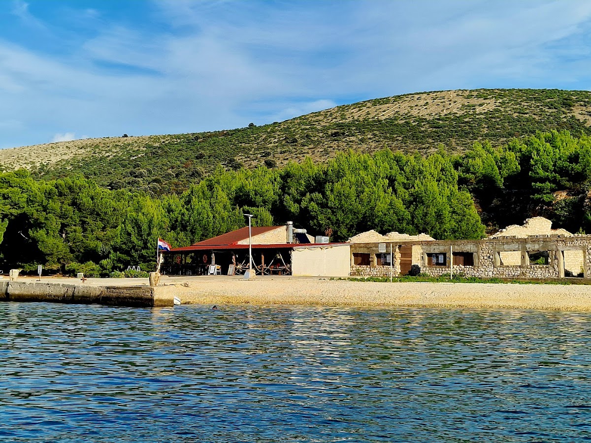 Restaurant Arta - Photo 3