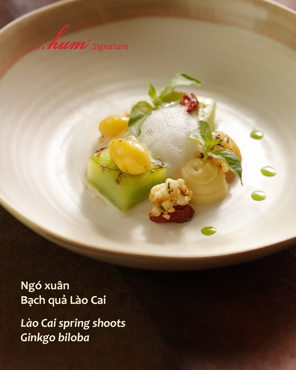 Hum Cafe - Healthy Veggies Delights - Photo 3