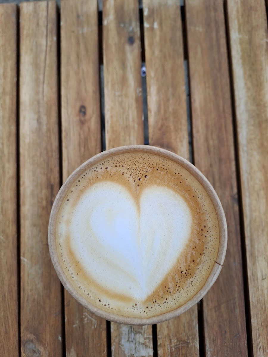 Specialty Coffee Albatros (DABOV) - Photo 8