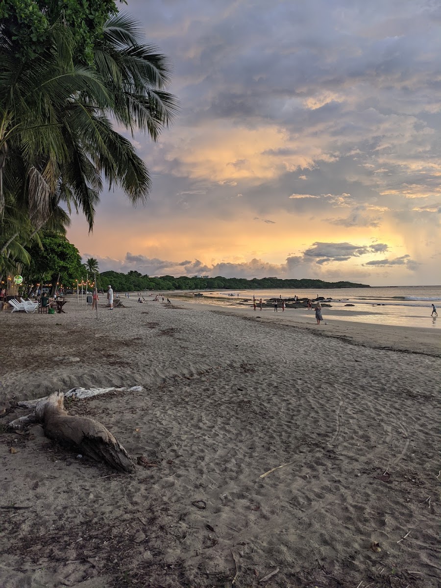 Palapa Restaurant, Tamarindo - Photo 7