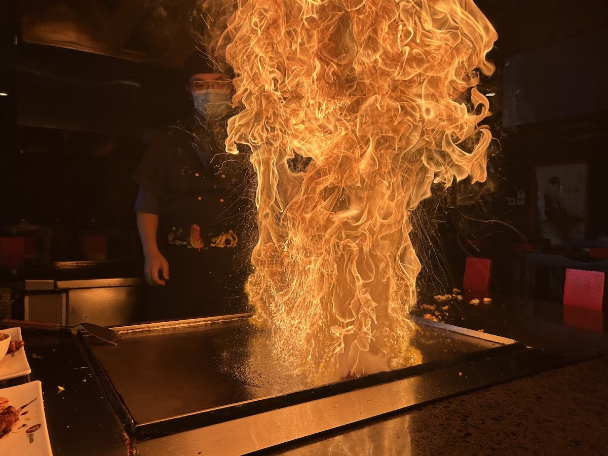 Fujiyama Tepan Restaurant - Photo 3