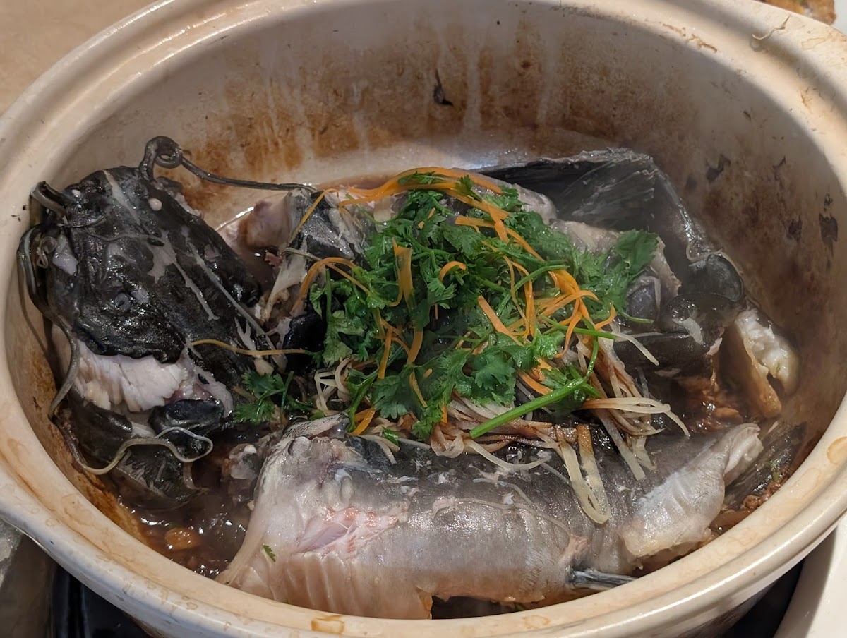 鲜鱼鲜海鲜饭店 • Xian Yu Xian Seafood Restaurant - Photo 4