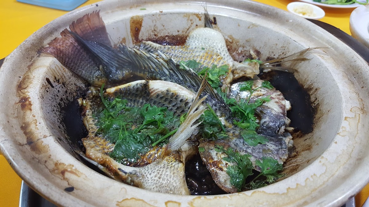鲜鱼鲜海鲜饭店 • Xian Yu Xian Seafood Restaurant - Photo 5