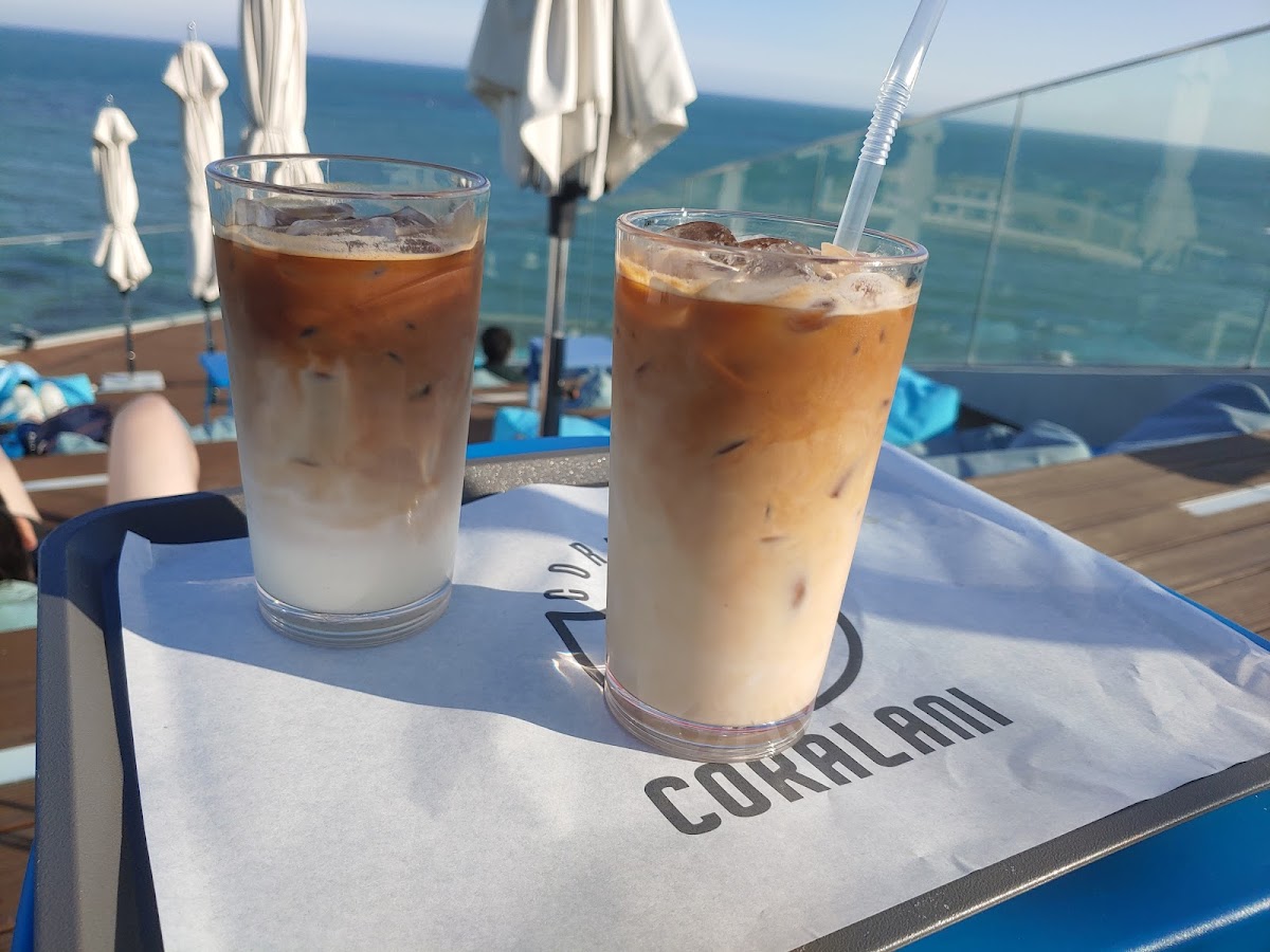 Coralani - Photo 7