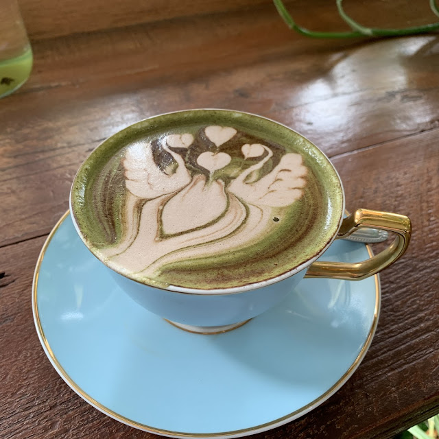 Macha Green Tea Hot