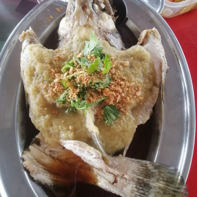 Steamed Fish in Ginger