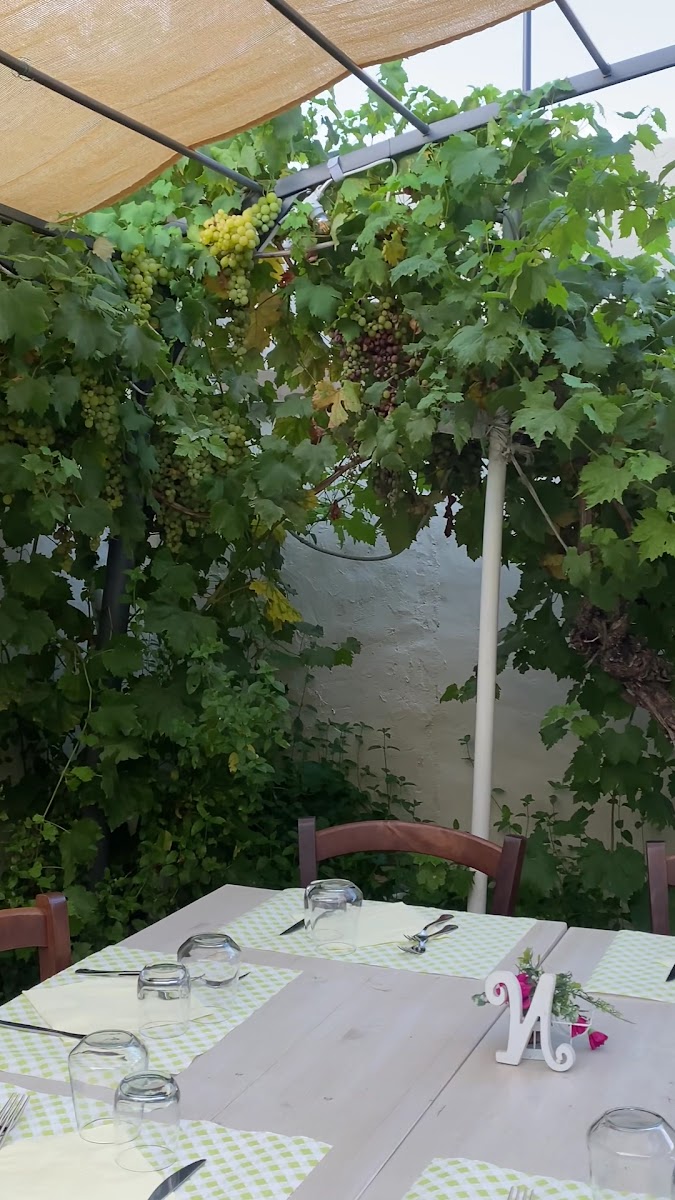 Trattoria da Sara - Photo 1