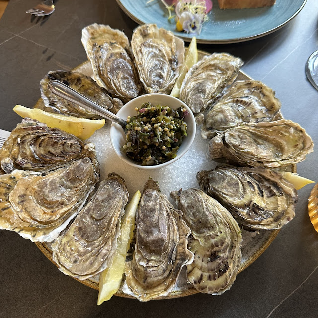 Oysters