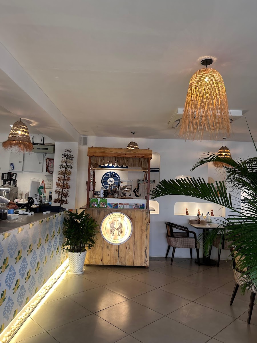 CAFE HAVANA JAIPUR - Photo 2