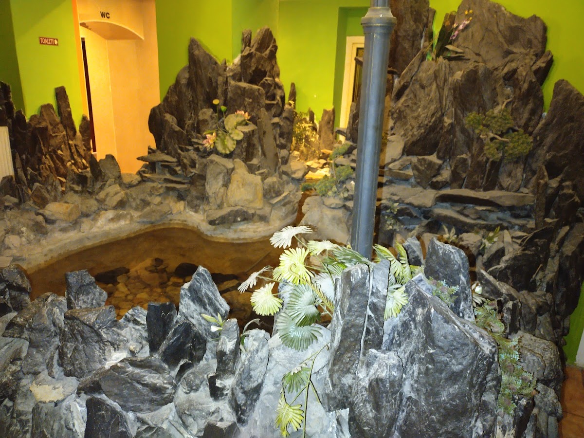 Vina Garden restaurant - Photo 3