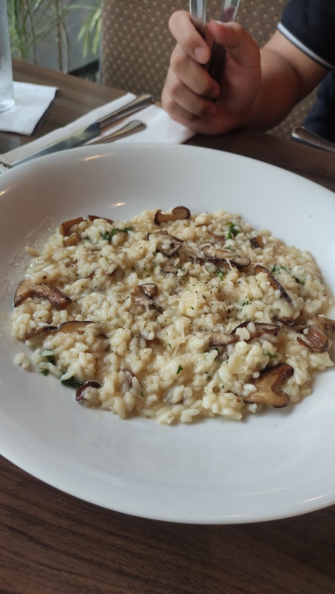 Italianni's - Marquee Mall - Photo 9