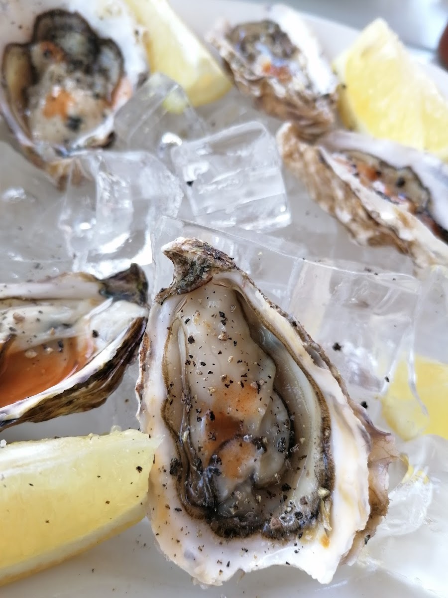 Seafood Lapa Melkbosstrand - Photo 9