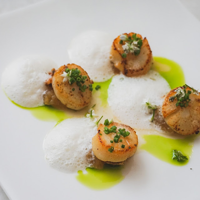 Scallop