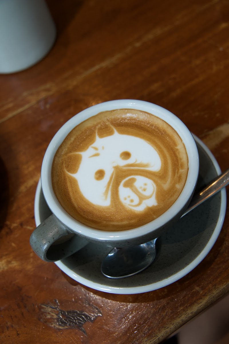 Single Origin - Salcedo - Photo 7