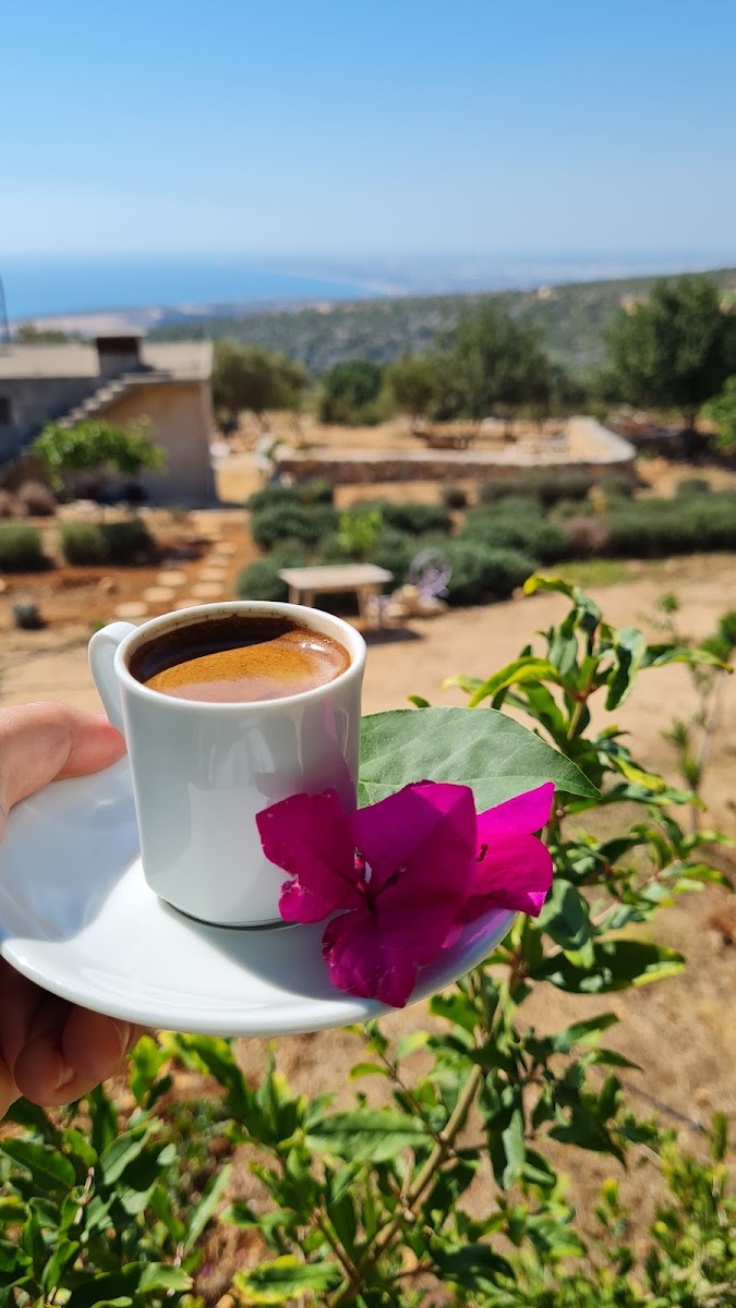 Zirve Kahvaltı - Photo 9
