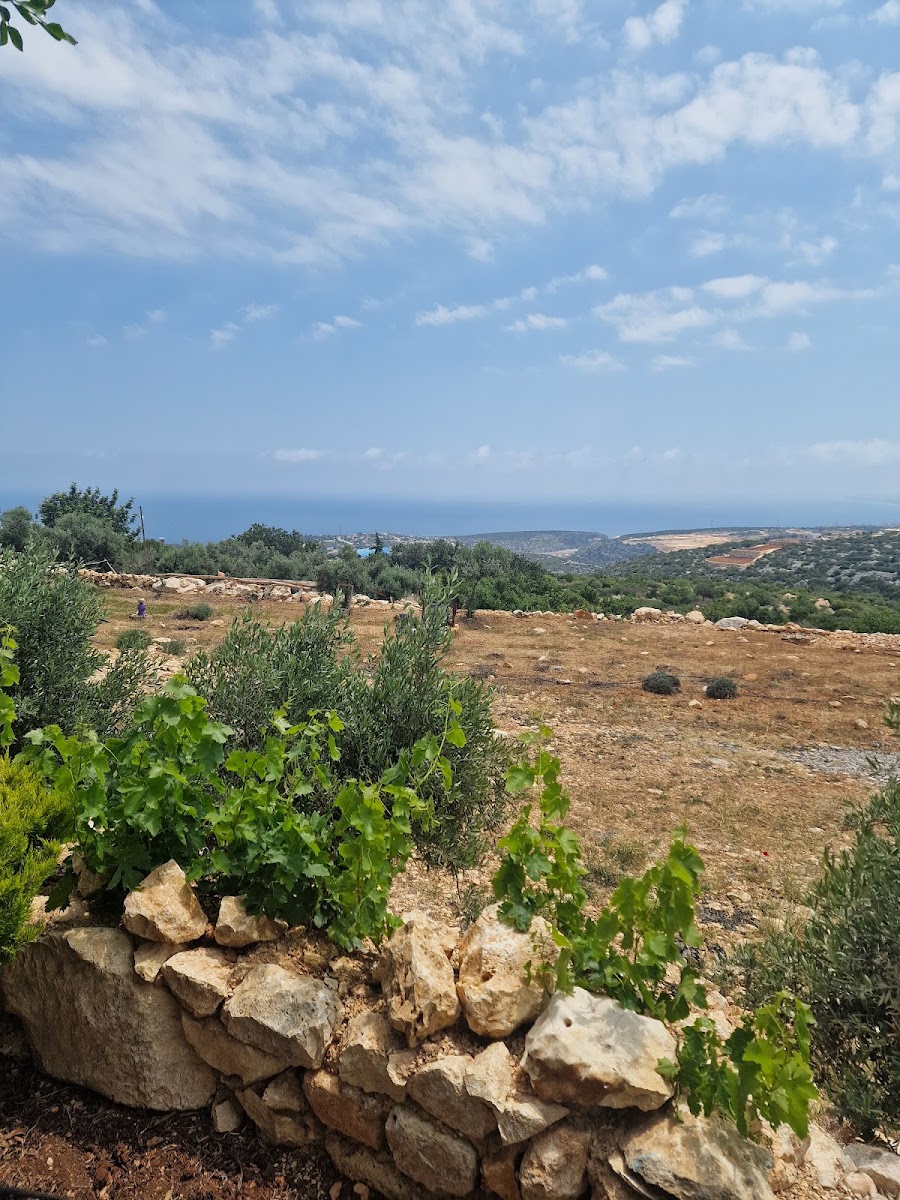 Zirve Kahvaltı - Photo 3
