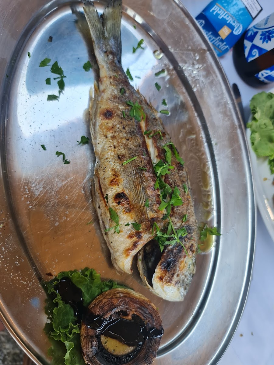 Zorbas Tavern - Photo 8