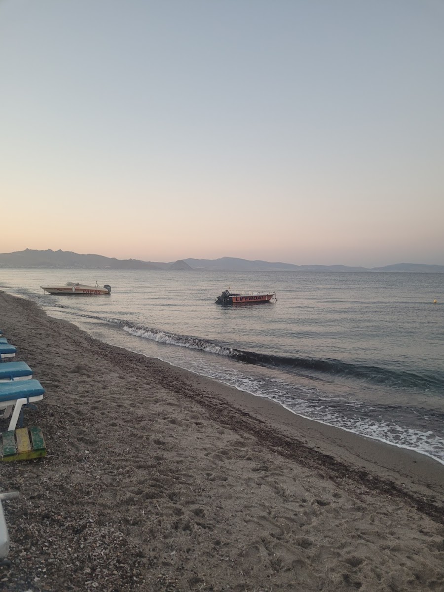 The Sunburnt Arms - Photo 6