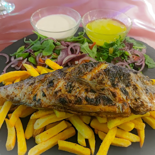 Fish
