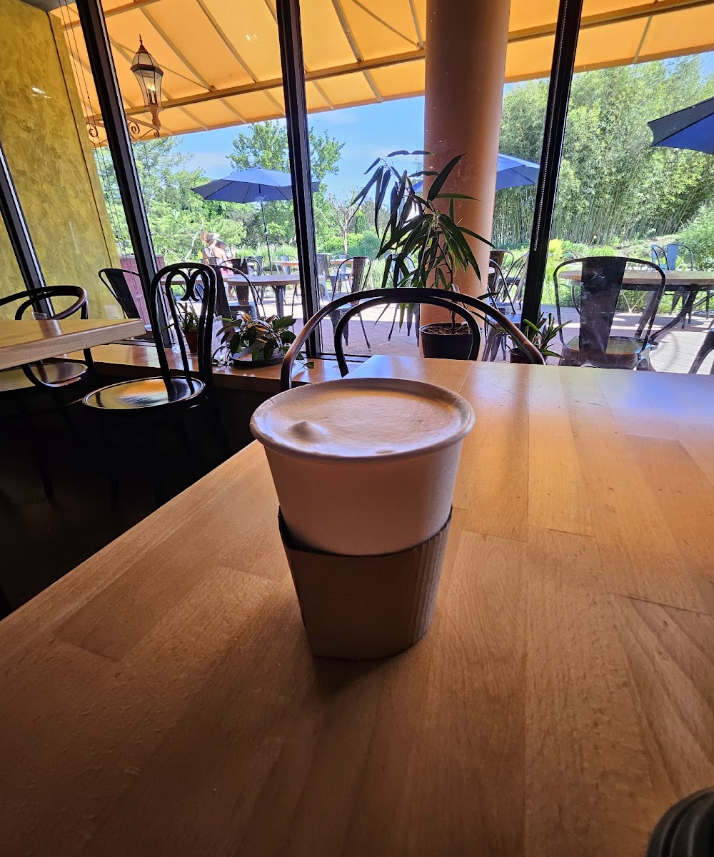 Van Gogh Café - Photo 1