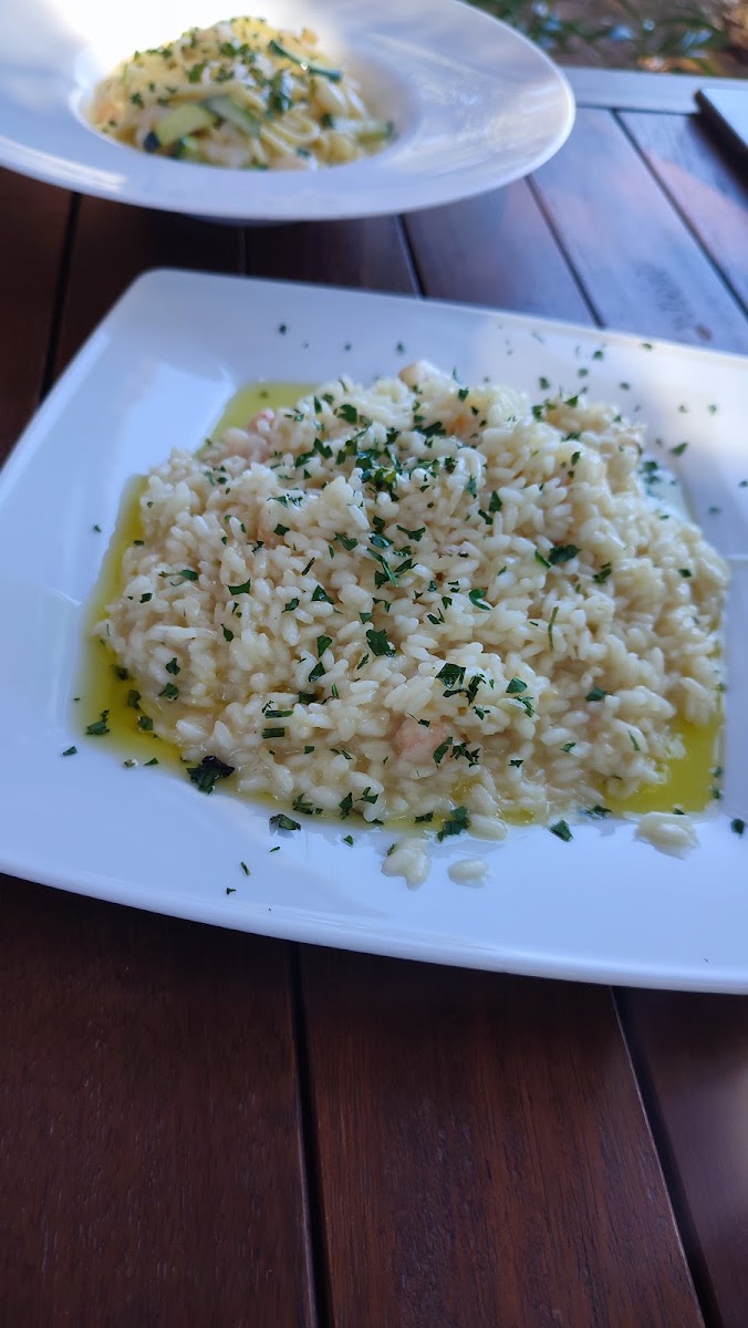 Bistro Plaza, NP Brijuni - Photo 9