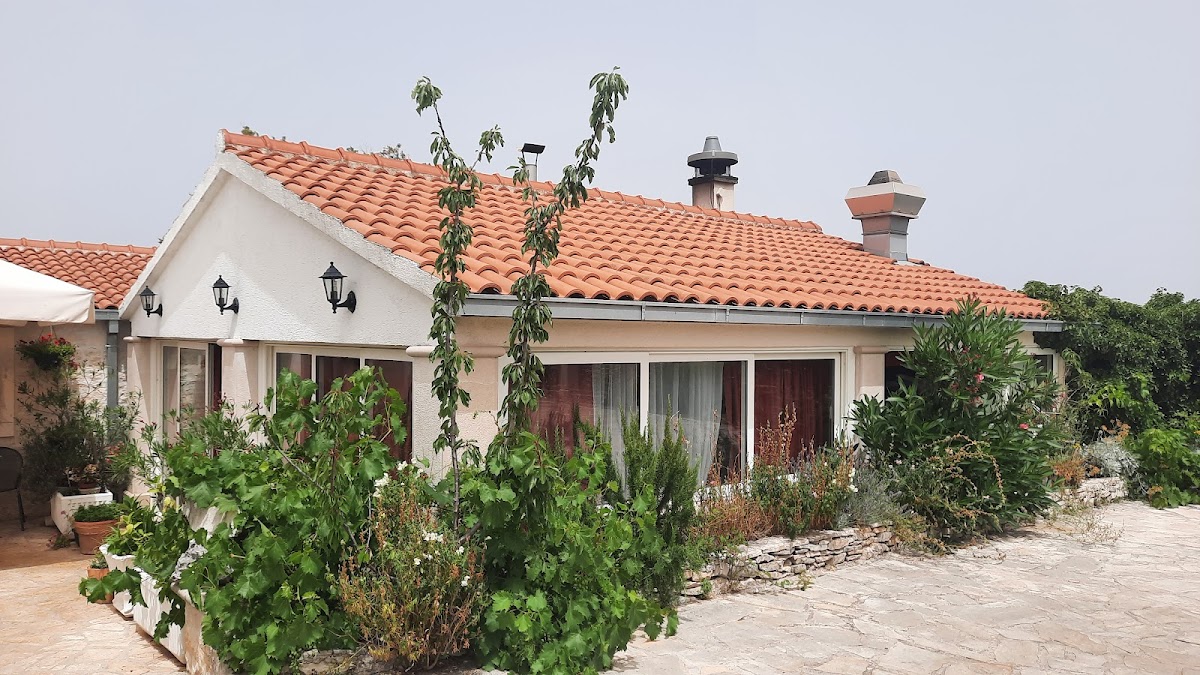 Restaurant Ziza - Photo 8