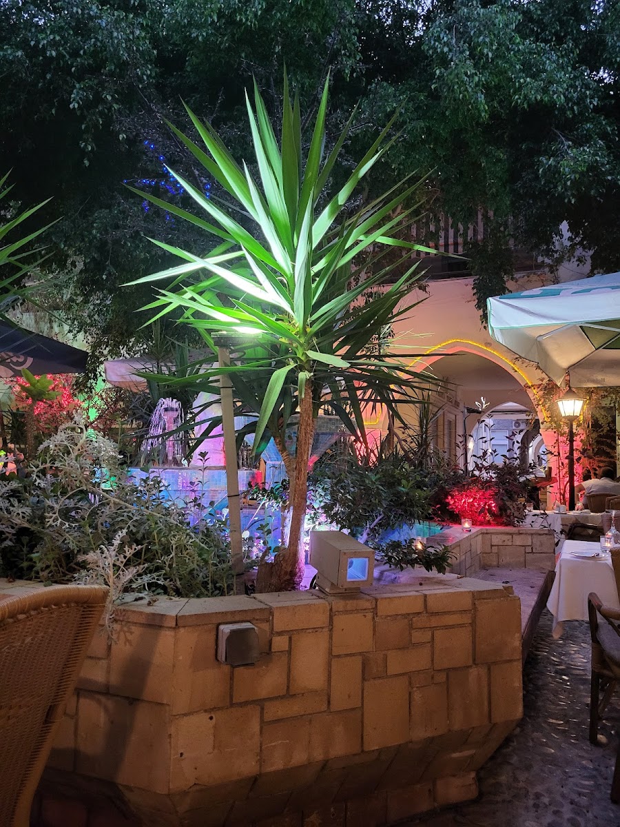 Atrion Garden Restaurant - Photo 9