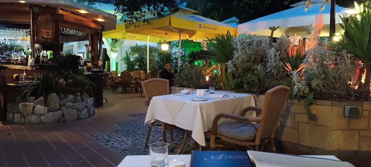 Atrion Garden Restaurant - Photo 4