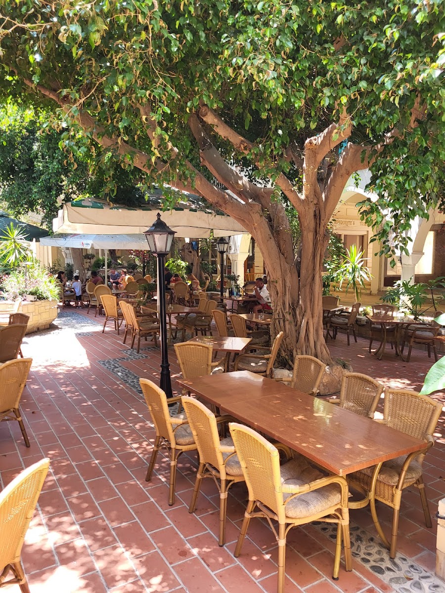 Atrion Garden Restaurant - Photo 5