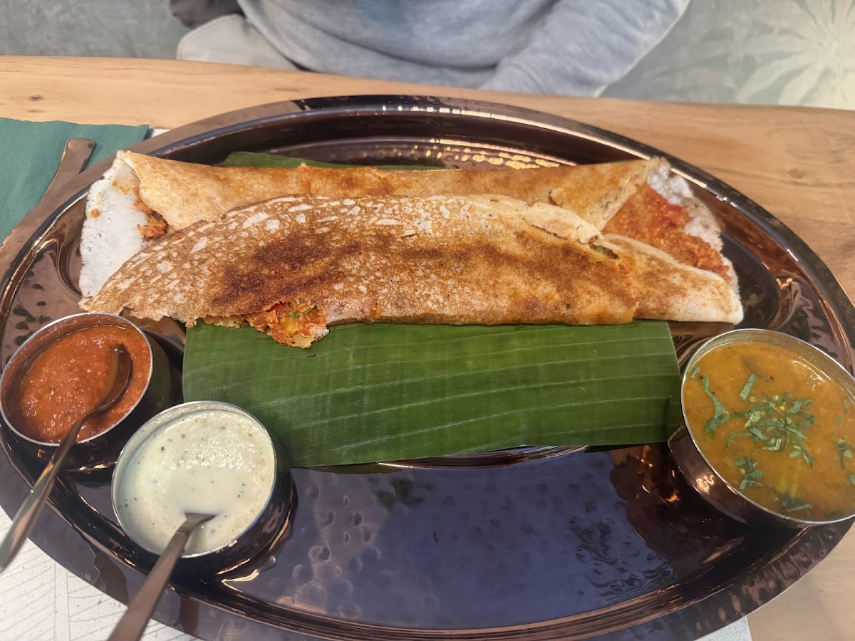 Madras Jungle - Photo 4