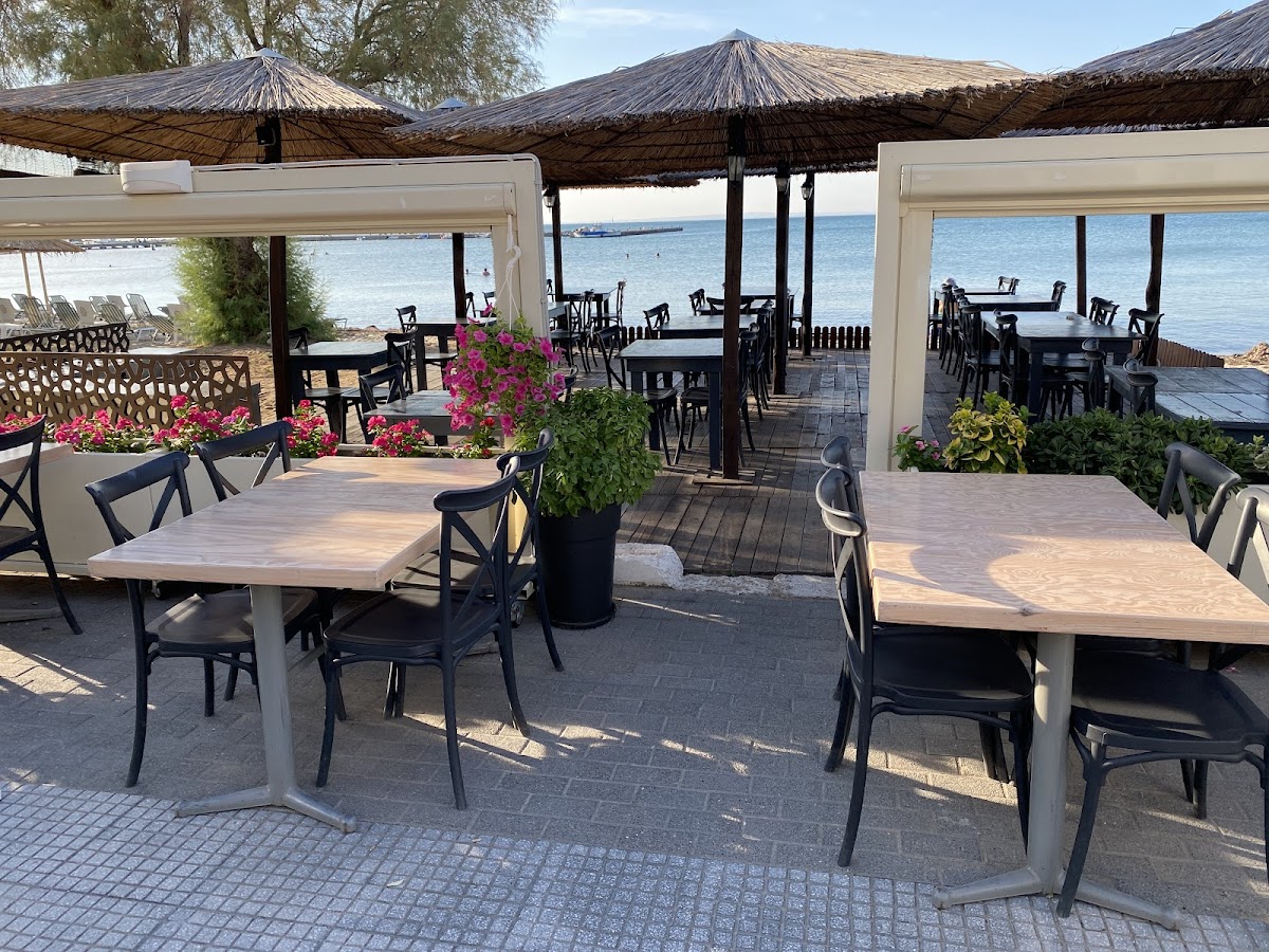 Thes meze - Photo 5