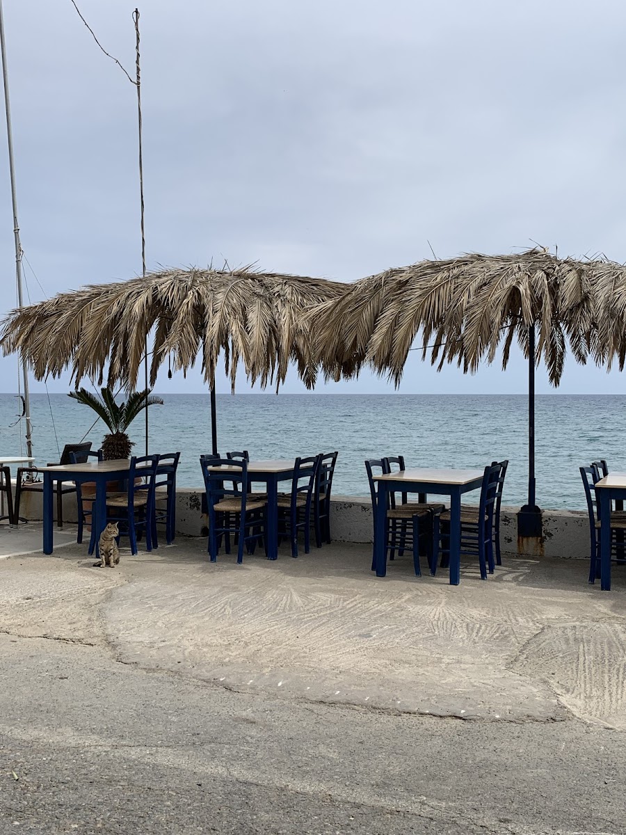 Taverna Anna - Photo 7