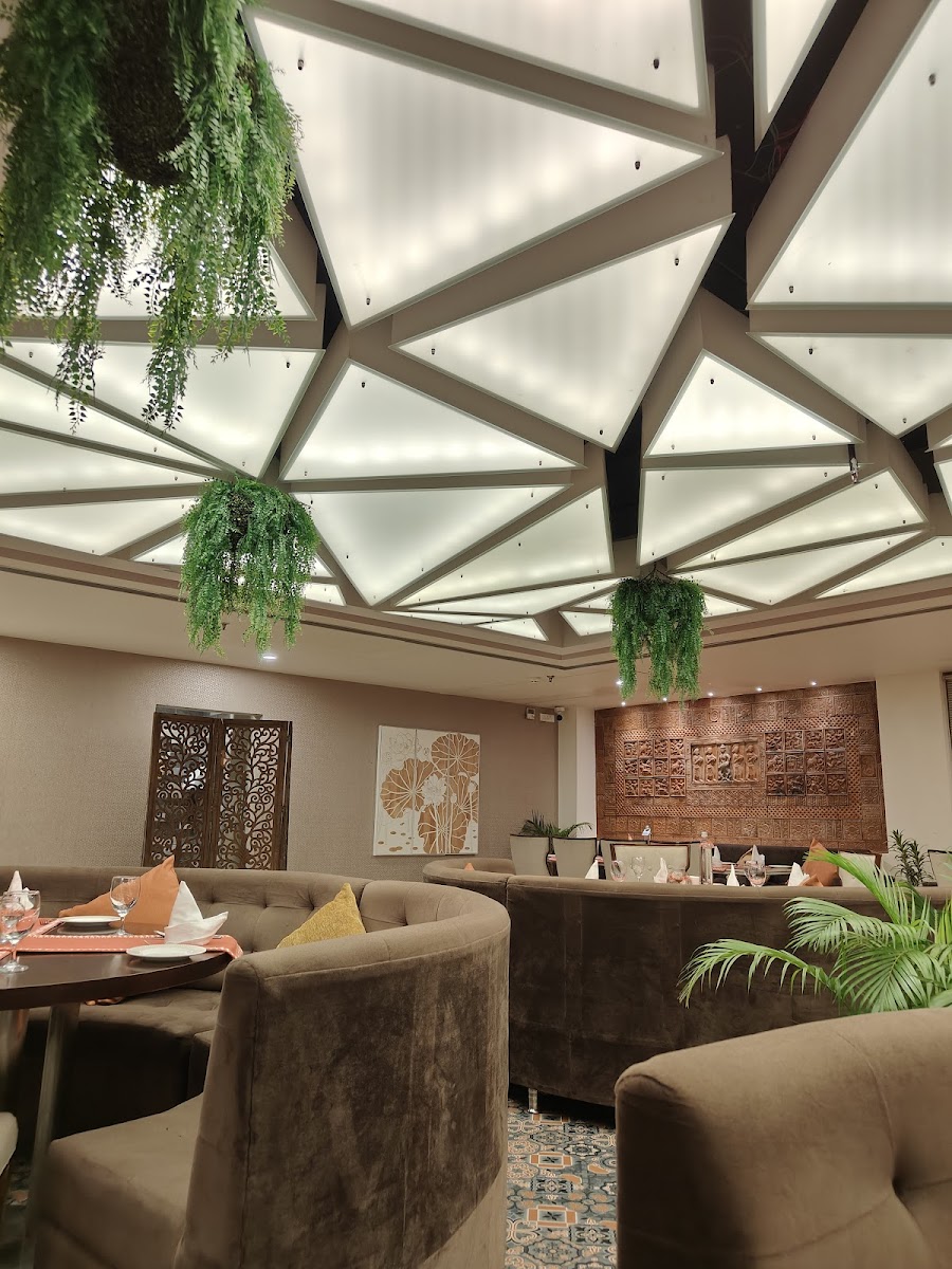 Terracotta Restaurant - Photo 2