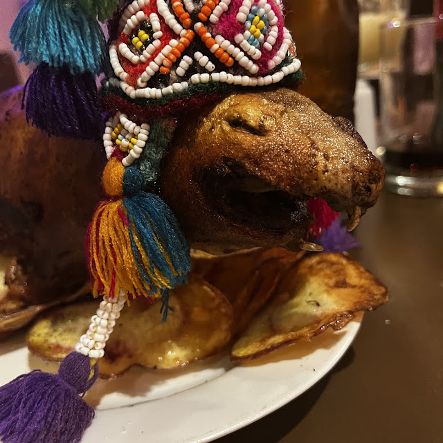 Guinea Pig