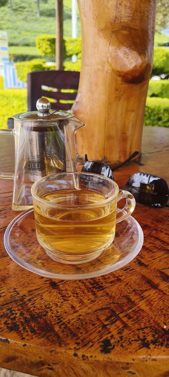 Oasis Glendale Tea Factory Outlet - Photo 2