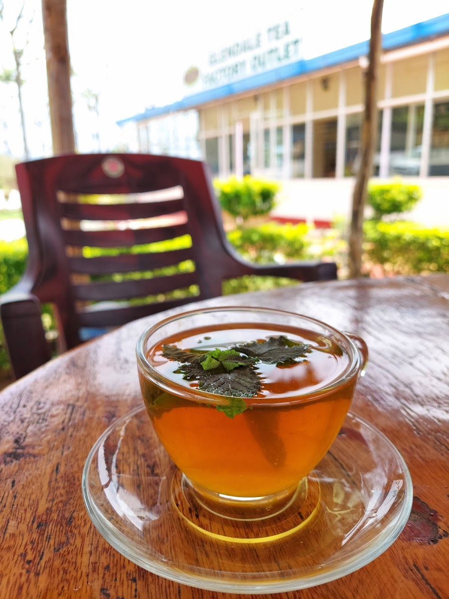 Oasis Glendale Tea Factory Outlet - Photo 4