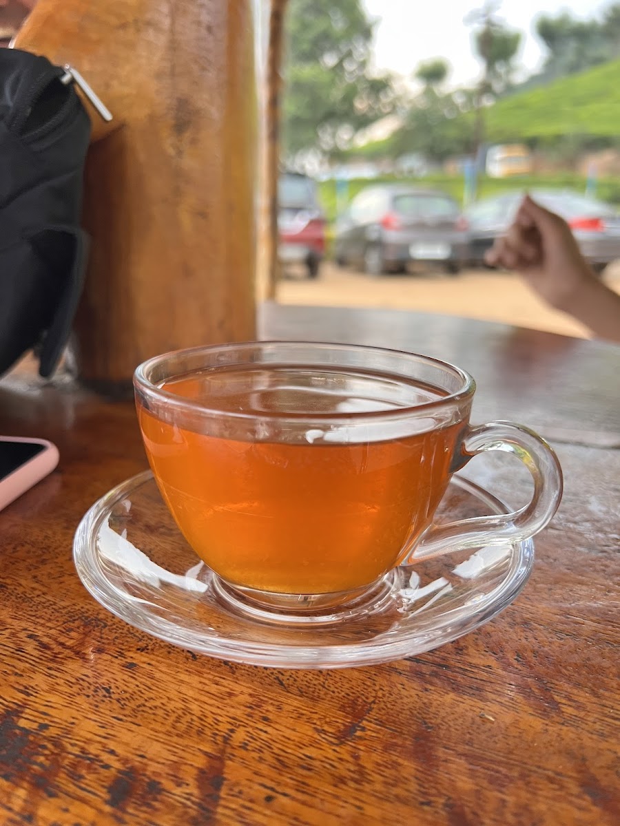 Oasis Glendale Tea Factory Outlet - Photo 8