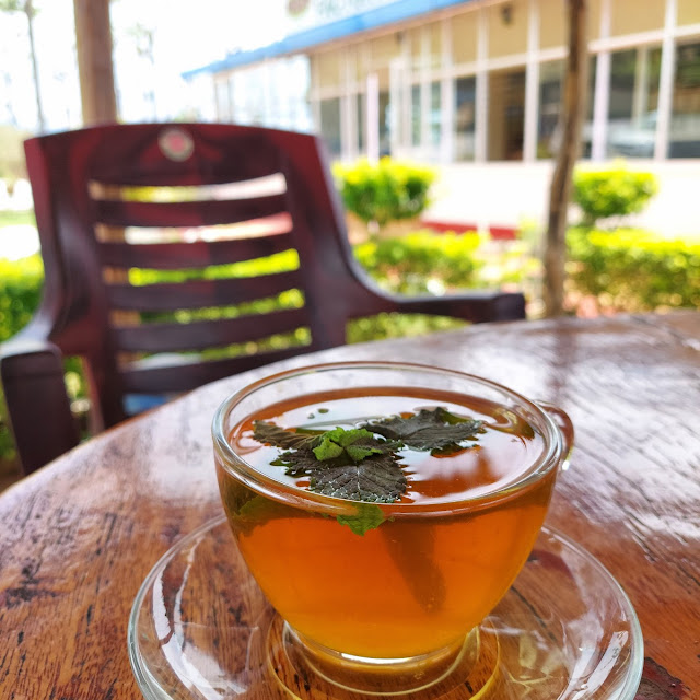 Lemon Tea