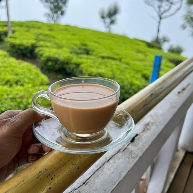 Normal Tea
