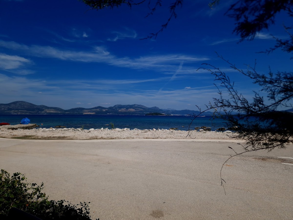 Konoba Dalmatinska kuca - Photo 9