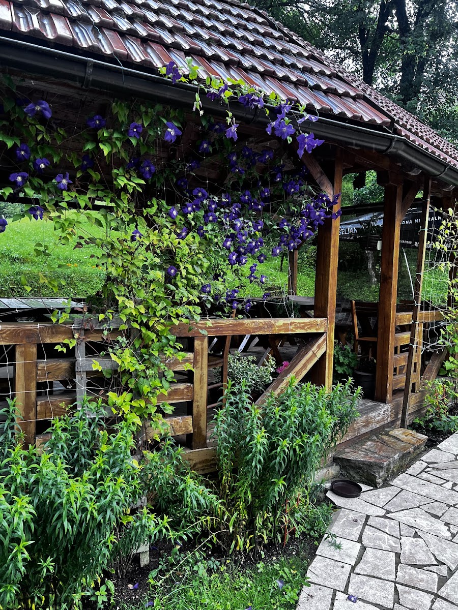 Restaurant Gradina - Photo 9