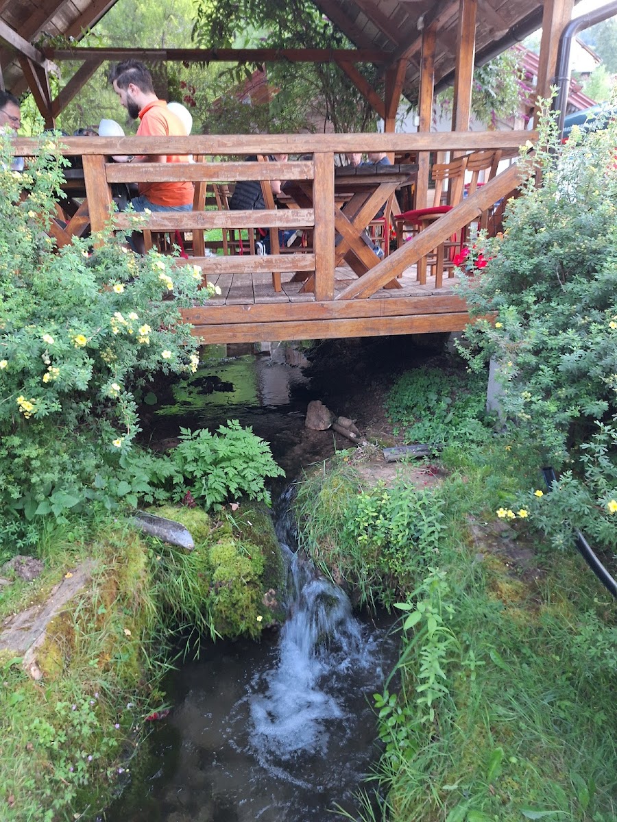 Restaurant Gradina - Photo 8