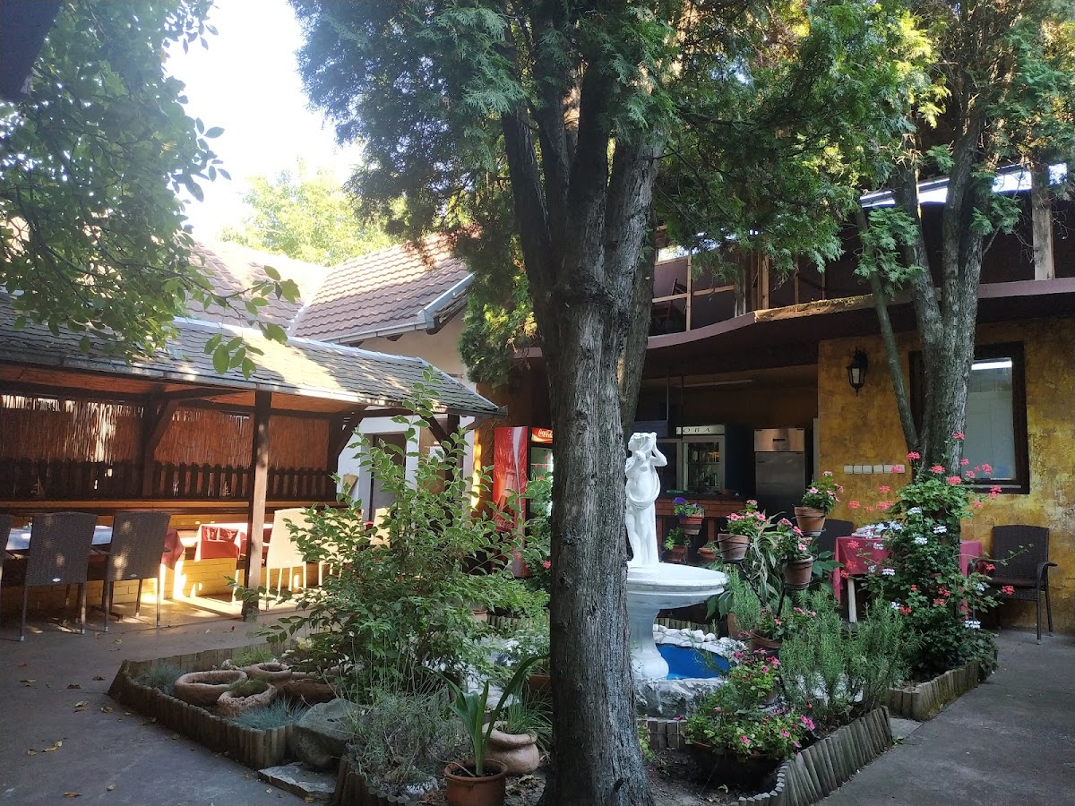 Konoba - Photo 3