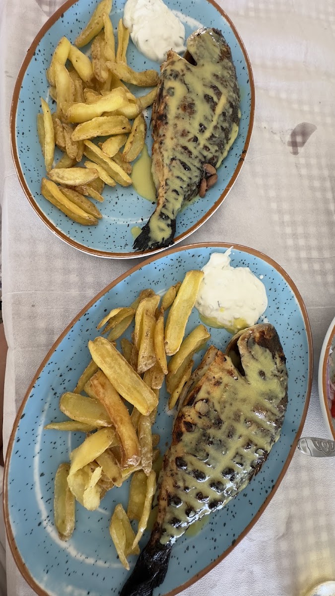 Restaurant Maria - Photo 6