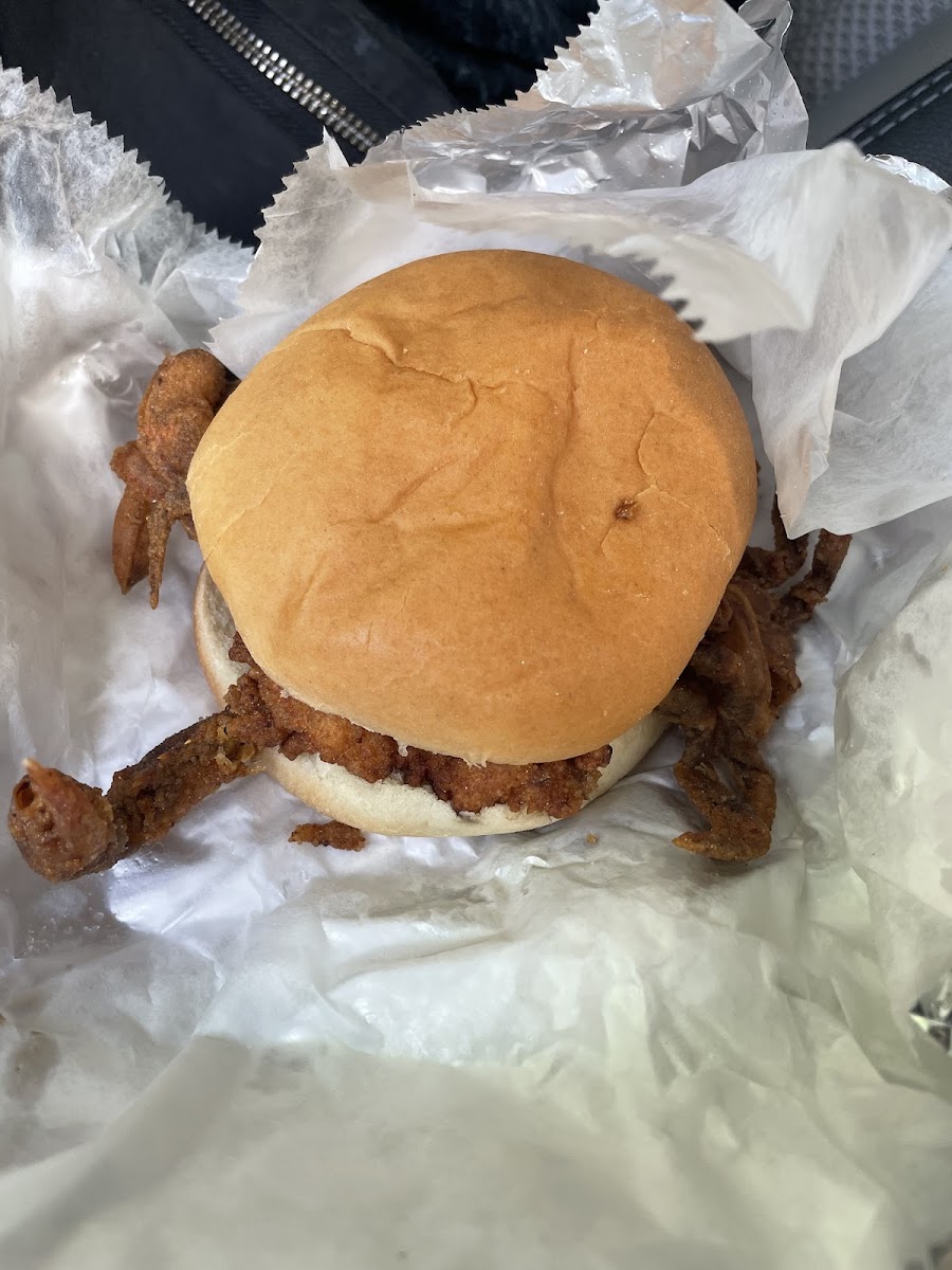 Metompkin Seafood - Photo 5