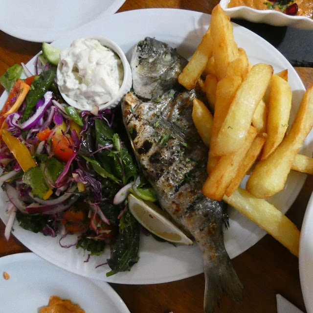 Sea Bream