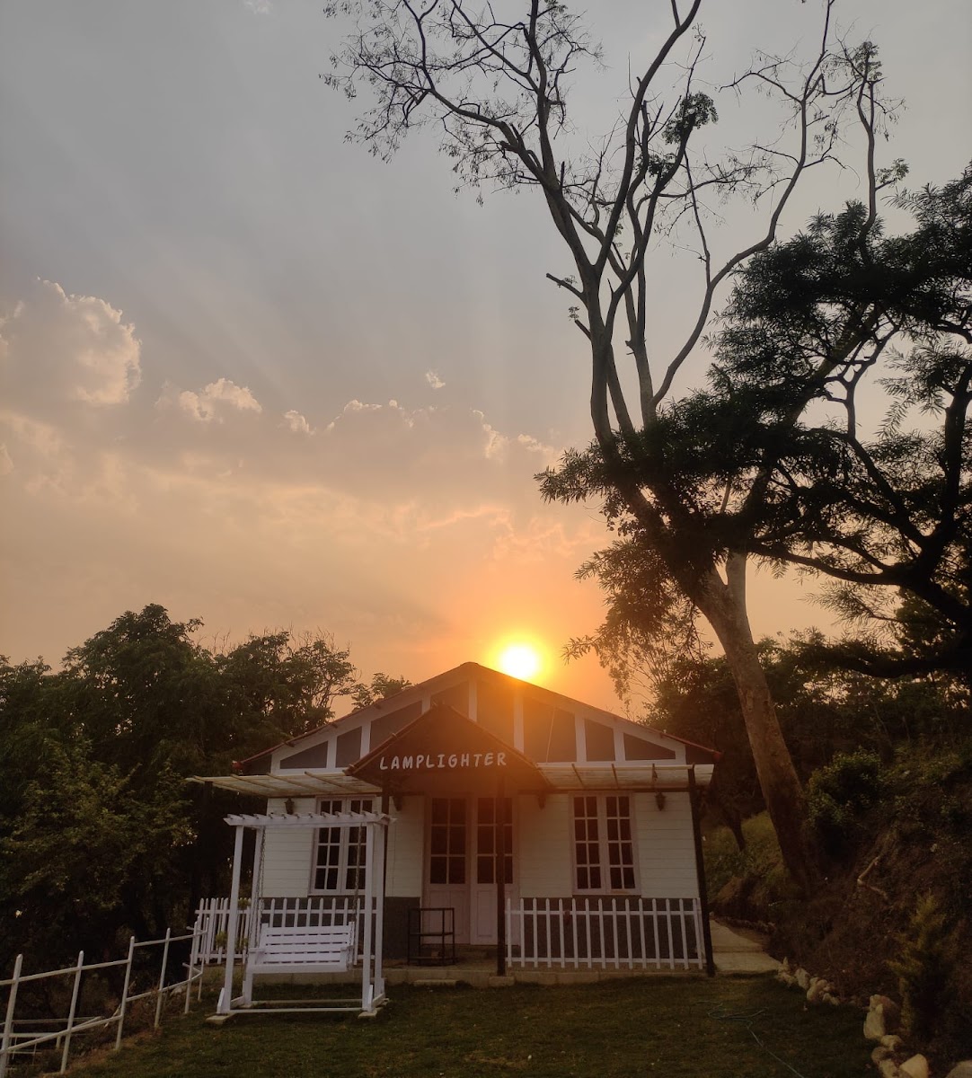 Lamplighter Café - Dehradun - Photo 3